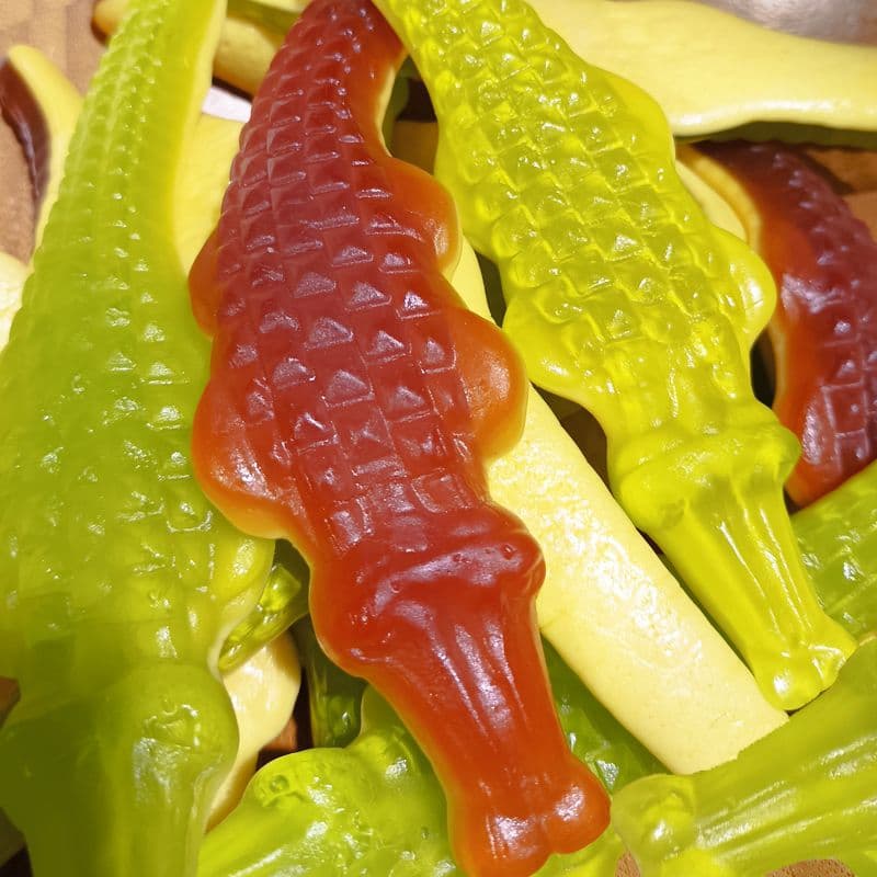 Mega krokodili glatki   R   1 kg